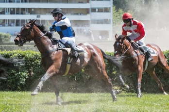 Reportáž | Sportovní | Dostihový den v Pardubicích