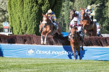 Reportáž | Sportovní | Dostihový den v Pardubicích