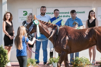 Reportáž | Sportovní | Dostihový den v Pardubicích