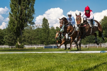 Reportáž | Sportovní | Dostihový den v Pardubicích
