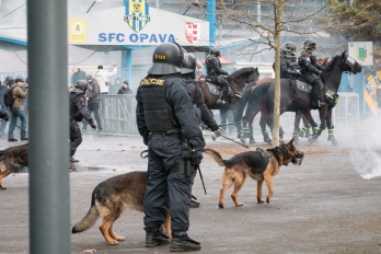 Reportáž | Sportovní | Den fotbalového fanouška