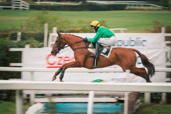 Reportáž | Sportovní | Dostihy