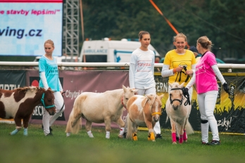 Reportáž | Sportovní | Dostihy
