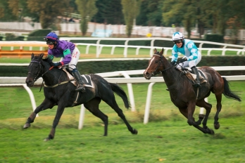 Velká pardubická
