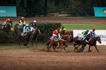 Reportáž | Sportovní | Dostihy