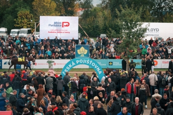 Reportáž | Sportovní | Dostihy