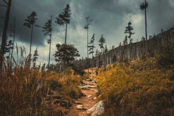 Krajinky | Vysoké Tatry
