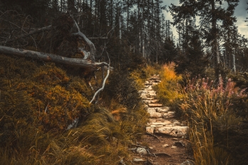 Krajinky | Vysoké Tatry