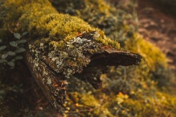 Krajinky | Vysoké Tatry